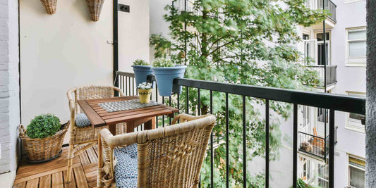 How to Care for Bonsai in Singapore Climate (Advanced Guide)