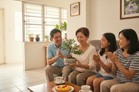Mother’s Day Gift Singapore: Why Bonsai Is the Perfect Gift