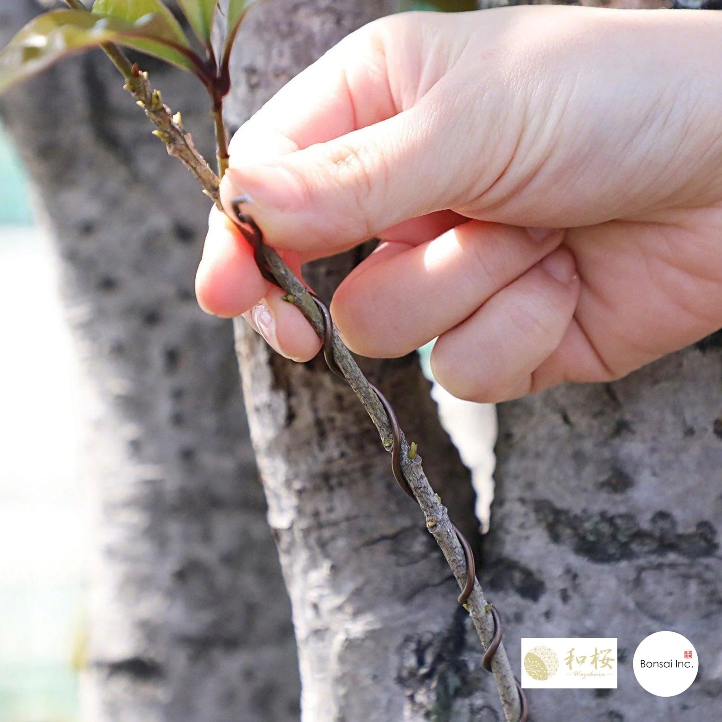 Brown Aluminum Bonsai Training Wire 150g