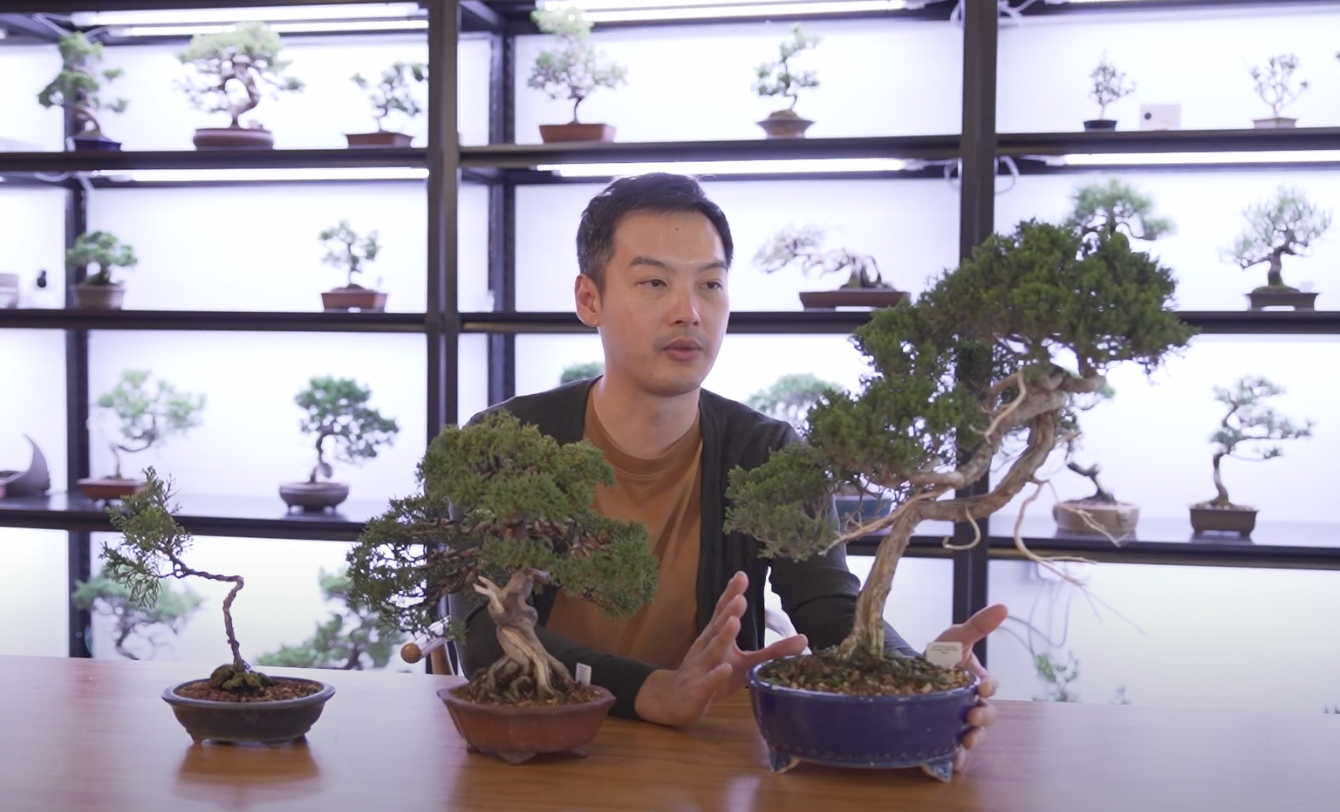 Load video: Learn about Bonsai Inc's story, our products and services and how to start your bonsai journey with us