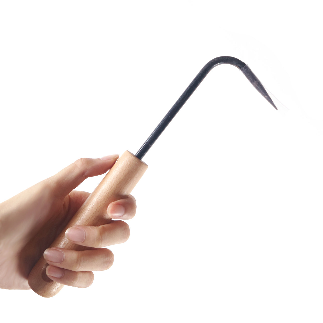 Bonsai Root Hook